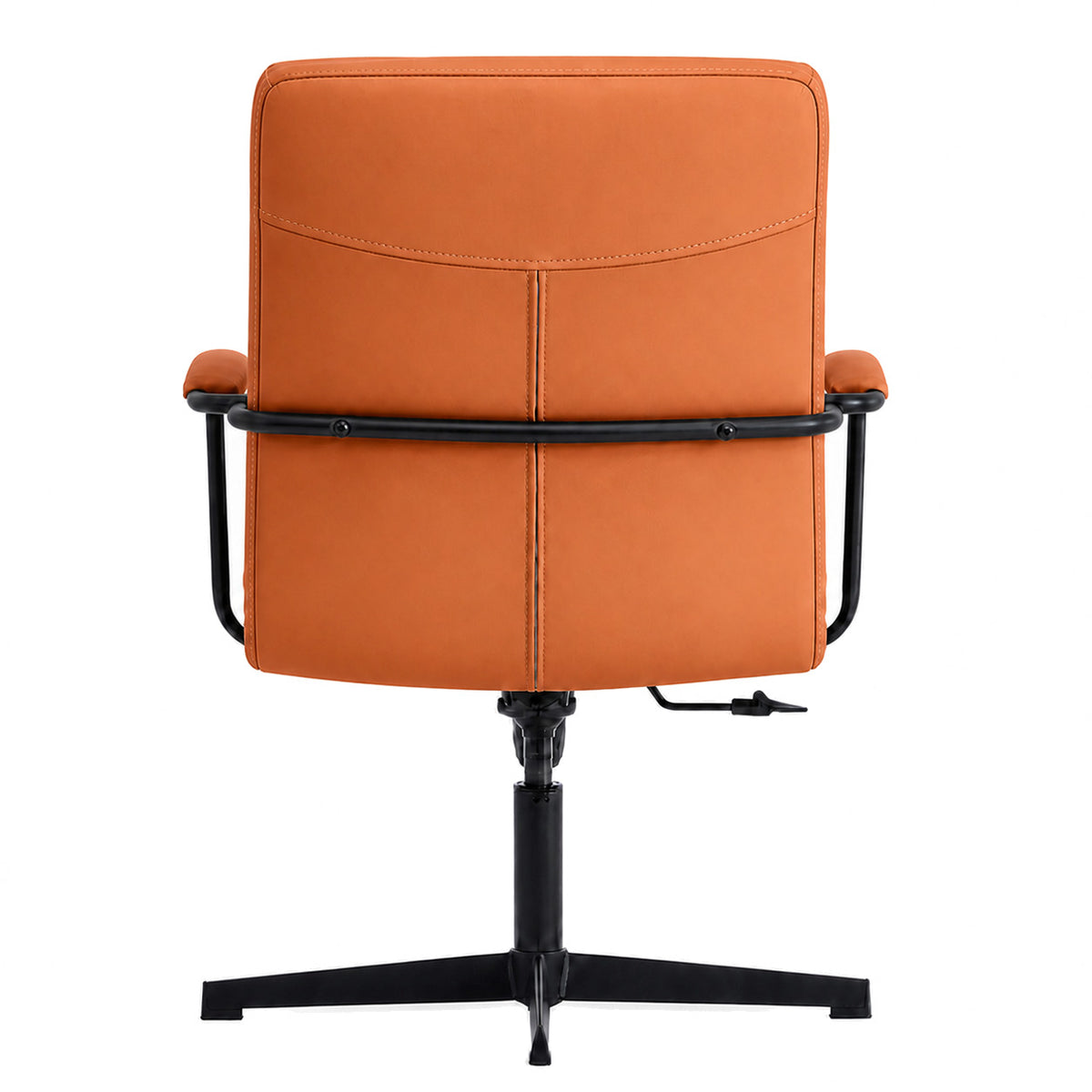 203V Low Back Leather Chair - Amber Back view