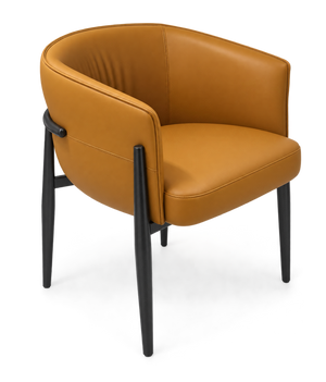 C-139 Arm Chair