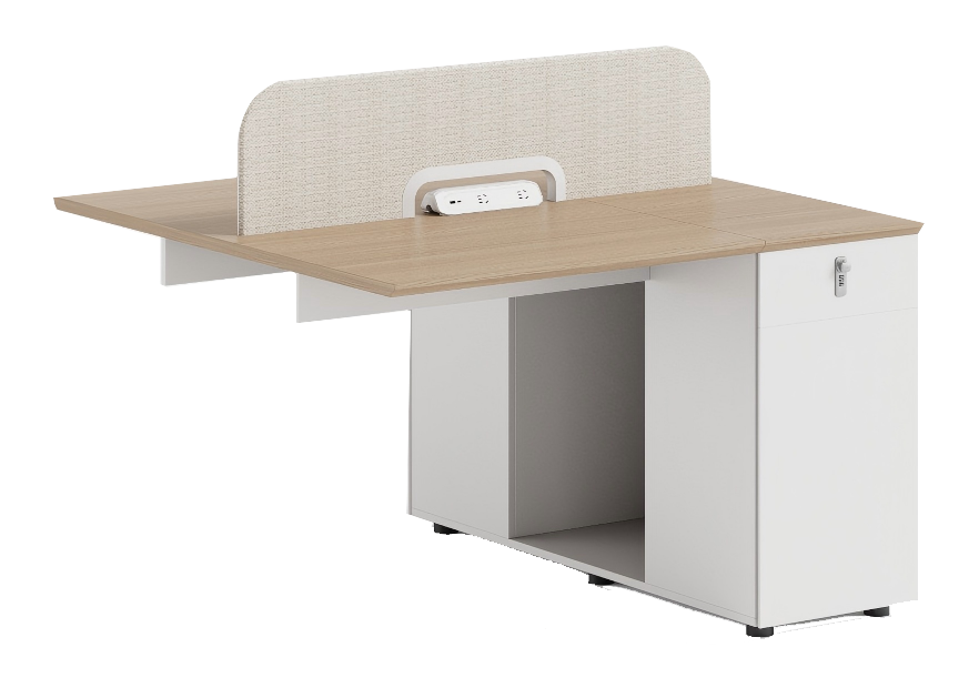 DM-1212-2 Workstation