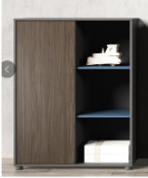 TL45 Steel Safe
